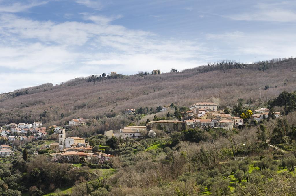 Al Casale Dei Nonni Bed & Breakfast Laureana Cilento Exterior photo